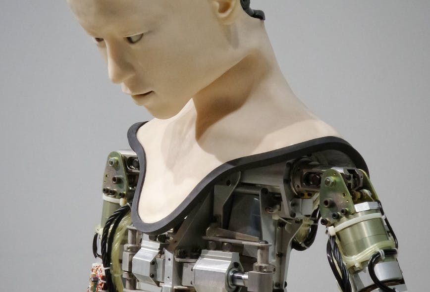 Humanoid robot 1.0