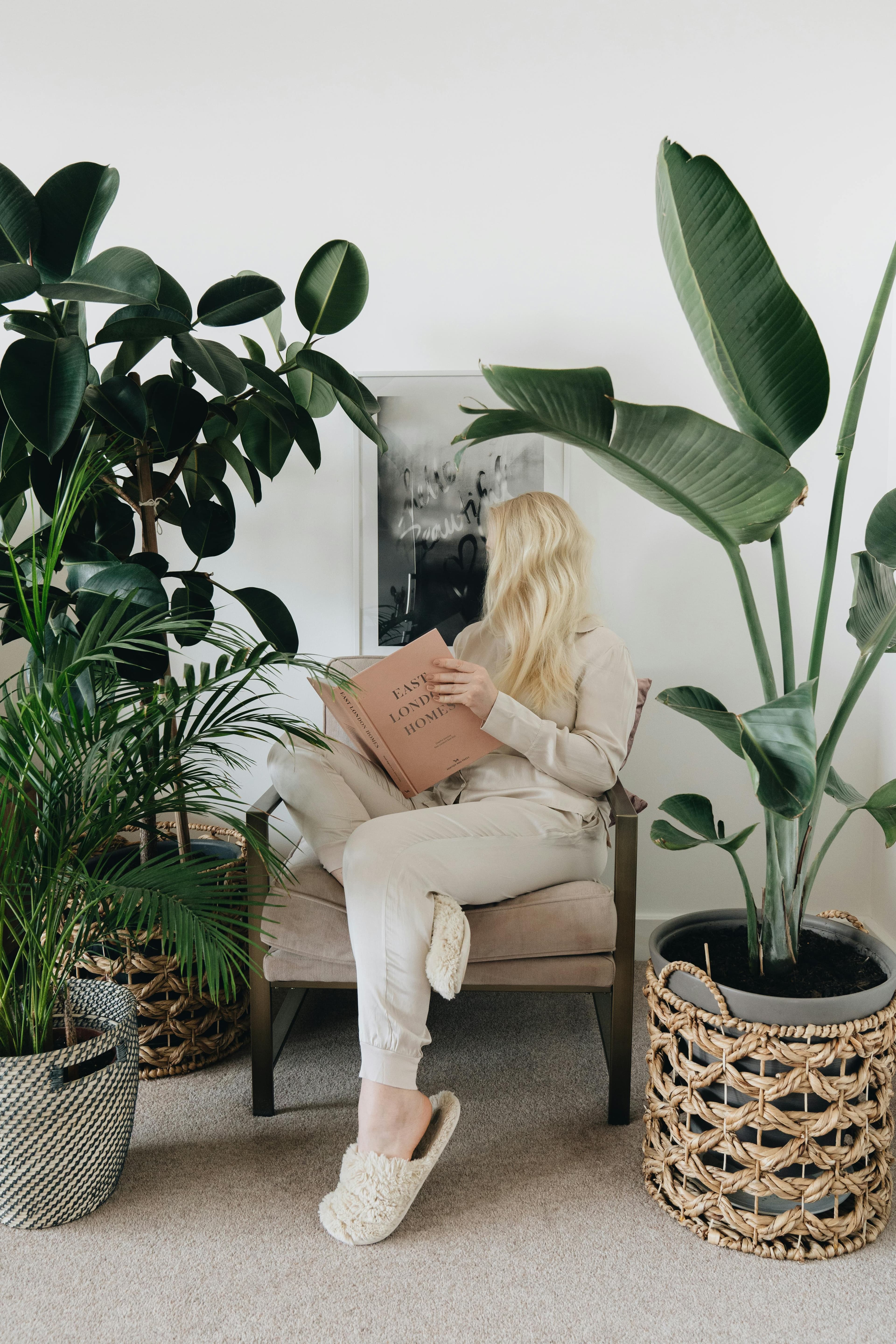 plants-deco-housing